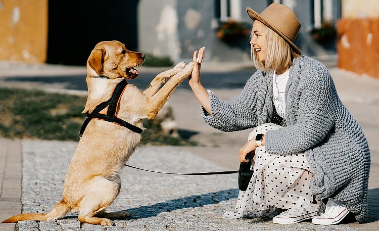 Hunde & Mensch Hundeliebe xxl